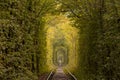 Small railway through autumn forest