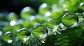 Small raindrops fall on the green leaves of ferns Royalty Free Stock Photo