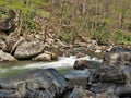 Whitetop Laurel Creek on Virginia Creeper Trail Royalty Free Stock Photo