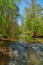 Small Rapids on War Creek in Eastern Kentucky