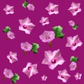 small real pink flowers on purple magenta background Royalty Free Stock Photo