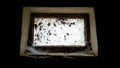 A small rectangular dirty and dusty web window in a large basement. White light penetrates the dark basement Royalty Free Stock Photo