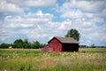 Small red barn or outbuilding in a field of wildflowers.