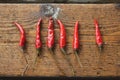 Small red bird peppers on a wooden board.