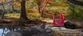 Small red bridge in Scenic Japanese garden during autumn time Royalty Free Stock Photo