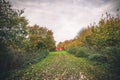 Small red cabin in a garden Royalty Free Stock Photo