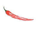 Small red chili pepper painted in watercolor and isolated on a white background. Sketch style illustration Royalty Free Stock Photo