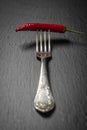 Fork with loaded chili pepper on a black slate background Royalty Free Stock Photo