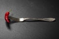 Fork with loaded chili pepper on a black slate background Royalty Free Stock Photo