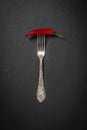 Fork with loaded chili pepper on black slate stone background - place for text Royalty Free Stock Photo