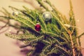 Small red christmas ball hanging on the fir branch Royalty Free Stock Photo