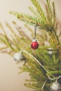 Small red christmas ball hanging on the fir branch Royalty Free Stock Photo