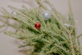 Small red christmas ball hanging on the fir branch Royalty Free Stock Photo