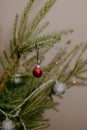 Small red christmas ball hanging on the fir branch Royalty Free Stock Photo