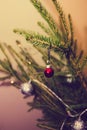 Small red christmas ball hanging on the fir branch Royalty Free Stock Photo