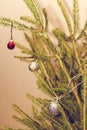 Small red christmas ball hanging on the fir branch Royalty Free Stock Photo