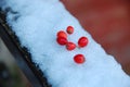 Small red fruit on the snow Royalty Free Stock Photo