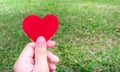 Small red heart in hand and green field in the background Royalty Free Stock Photo