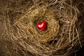 Small red heart lying in birds nest Royalty Free Stock Photo