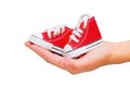 Small Red High-Top Canvas Shoes in Hand on White Royalty Free Stock Photo