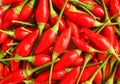 Small red hot chilli pepper Royalty Free Stock Photo