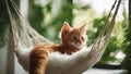 A small red kitten with a gentle purr, nestled comfortably in a hammock made of soft white fur, swaying