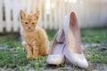 A small red kitten sits next to women`s shoes on the street Royalty Free Stock Photo