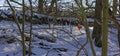 A small red knitted Heart hanging from a small branch of a tree on a trail into Arbroath at Colliston Village. Royalty Free Stock Photo