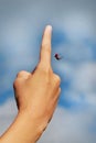 A small red ladybug on the top of your finger flies into the sky