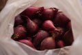 small red onions for planting in plastic bag