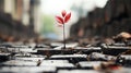 a small red plant is growing out of a brick path