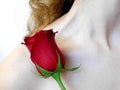 Small red rose on the shoulder