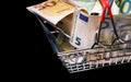 Small red shopping basket full of euro banknotes. Finance. Financial crisis. Banking system. Economic problem. Inflation. Royalty Free Stock Photo