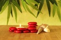 Small red stones arranged in columns in zen lifestyle with a candle and beach shells on bamboo wood floor and green foliage backgr Royalty Free Stock Photo