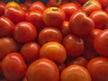 Small red tomatoes, full frame Royalty Free Stock Photo