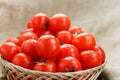 Small red tomatoes in a wicker basket on an old wooden table. Ripe and juicy cherry Royalty Free Stock Photo