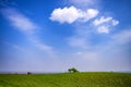 Small red tractor alone on the top of the hilly farmland with gorgeous white clouds and blue sky panorama