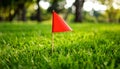 Small red triangle flag in green grass. Warning of danger and dangerous areas Royalty Free Stock Photo