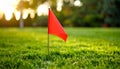 Small red triangle flag in green grass. Warning of danger and dangerous areas Royalty Free Stock Photo