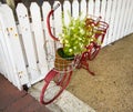 Small Red Vintage Bicycle with Flowers Royalty Free Stock Photo