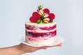 Small red-white cake on the palm, decorated with roses and hearts Royalty Free Stock Photo