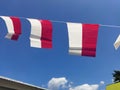 Small red and white flags against a blue sky background. Indonesian independence day celebration. Royalty Free Stock Photo