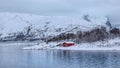 Small red wooden house on the white snowy lakeshore seen from the lake in Norway Royalty Free Stock Photo