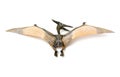 A small red and yellow Pterodactyl toy front and back looking to its left Royalty Free Stock Photo