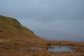 Small reedy tarn: tiny mountain lake / pond fringed with brown grass on a misty day