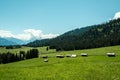 Small residential houses in the mountains under a blue sky in Flims, Grisons, Switzerland Royalty Free Stock Photo