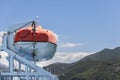 Small, rigid and inflatable lifeboat or liferaft carried for emergency evacuation in the event of a disaster aboard a ship. Green