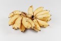 Small ripe bananas in bunches Caribbean lady fingers