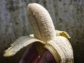 Small ripe opened banana ready to eat