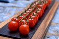 Small ripe red sweet cherry tomatoes on twig Royalty Free Stock Photo